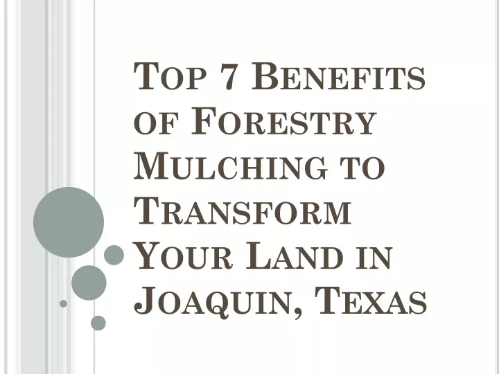 top 7 benefits of forestry mulching to transform your land in joaquin texas