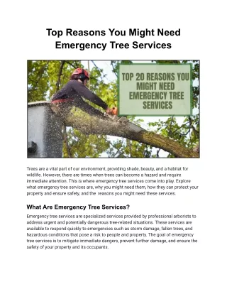 Top Reasons You Might Need Emergency Tree Services