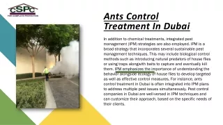 Managing House Fly Populations in Residences and Workplaces with Pest Control