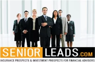 Senior Leads
