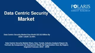 data centric security market size worth 23 62 billion by 2030 cagr 23 99