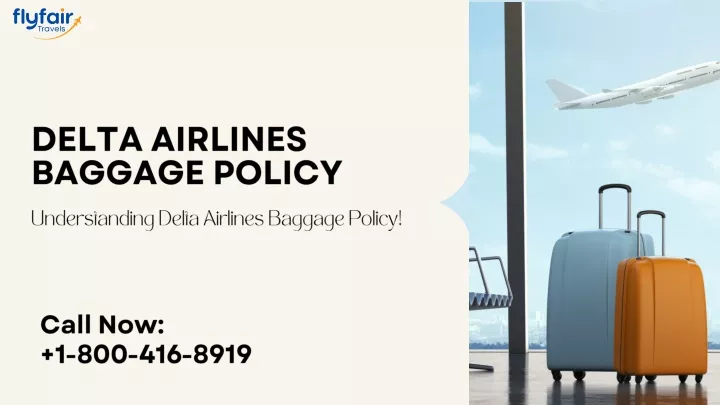 delta airlines baggage policy