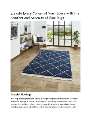 Elevate Every Corner of Your Space with the Comfort and Serenity of Blue Rugs