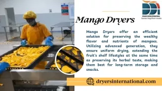 Mango Dryers