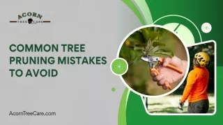 Common Tree Pruning Mistakes to Avoid