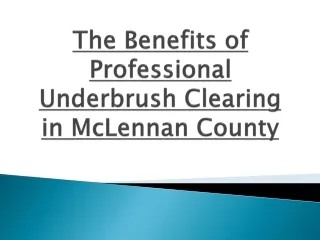 The Benefits of Professional Underbrush Clearing in McLennan County