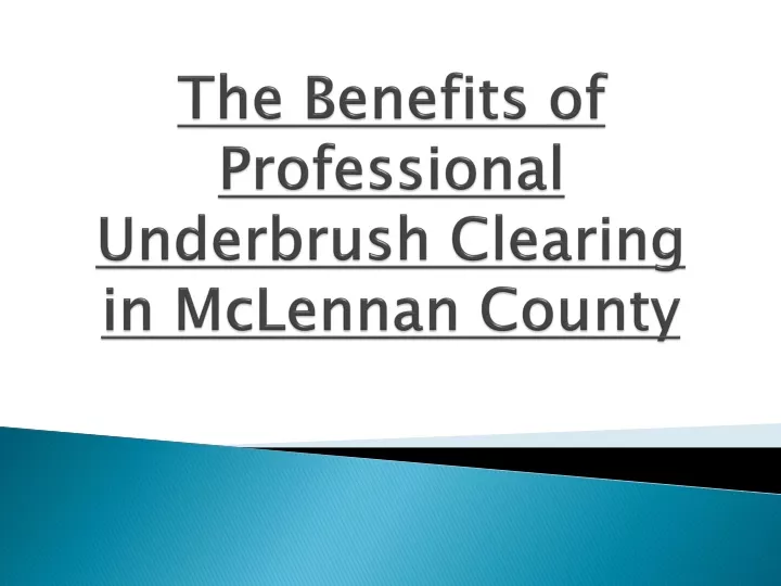 the benefits of professional underbrush clearing in mclennan county