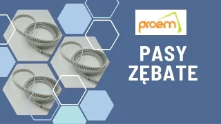 Pasy zębate