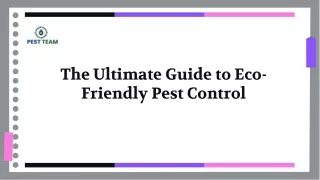 The Ultimate Guide to Eco-Friendly Pest Control