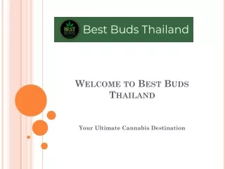 Welcome to Best Buds Thailand