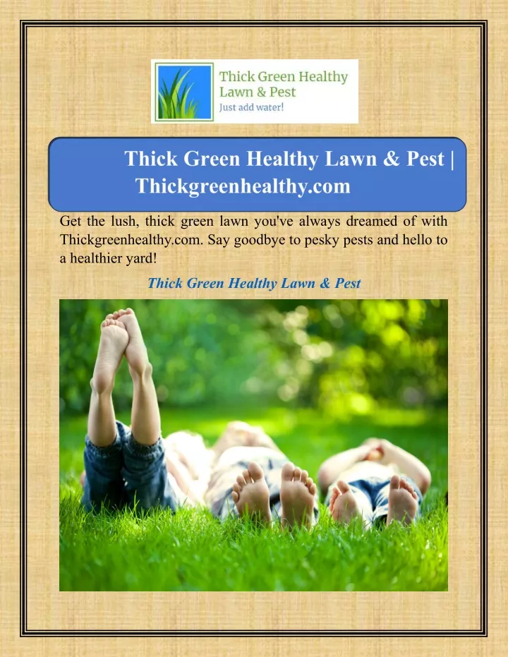 get the lush thick green lawn you ve always