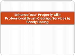 Enhance Your Property with Professional Brush Clearing Services in Sandy Spring