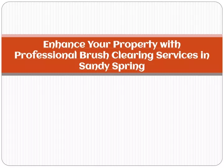 enhance your property with professional brush clearing services in sandy spring