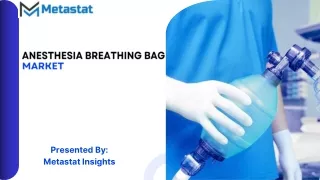 Anesthesia Breathing Bag Market Size, Share and Growth