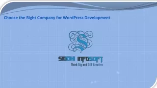 choose the right company for wordpress development