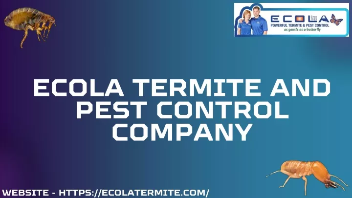 ecola termite and pest control company