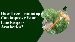 Precision Tree Pruning for Optimal Growth