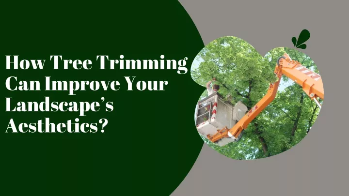 how tree trimming can improve your landscape