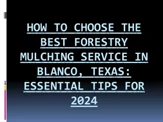 How to Choose the Best Forestry Mulching Service in Blanco, Texas: Essential Tip