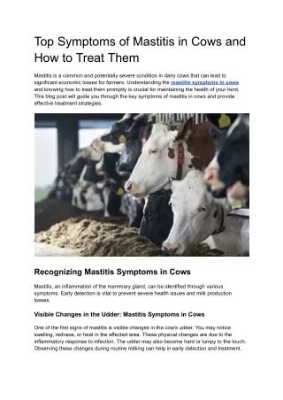 Top Symptoms of Mastitis in Cows and How to Treat Them