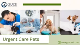 Pet Urgent Care:, Compassionate Treatment for Your Furry Friends