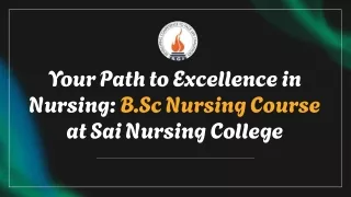 your path to excellence in nursing b sc nursing
