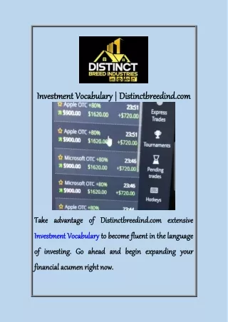 Investment Vocabulary  Distinctbreedind com