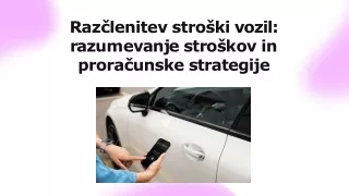 raz lenitev stro ki vozil r a z u m e v a n j e s t r o k o v i n prora unske strategije