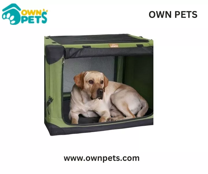 own pets