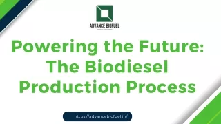 powering the future the biodiesel production