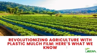 Revolutionizing Agriculture With Plastic Mulch Film Here’s What We Know