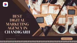Chandigarh's Top Digital Marketing Agency | Softdeviser