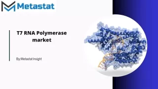 T7 RNA Polymerase Market