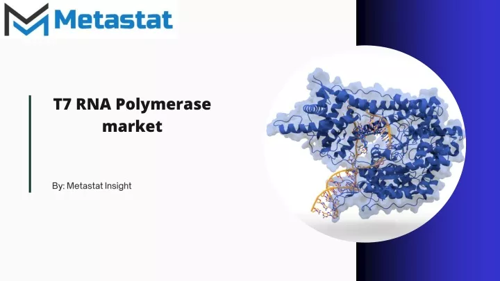 t7 rna polymerase market