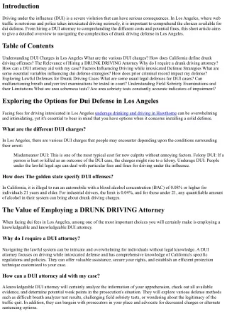Exploring the Options for Drunk Driving Defense in Los Angeles