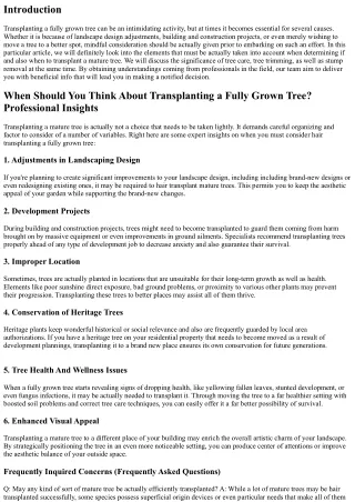 When Should You Think About Hair Transplanting a Fully Grown Tree? Specialist In