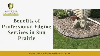 Benefits of Professional Edging Services in Sun Prairie | A  Lawn Care