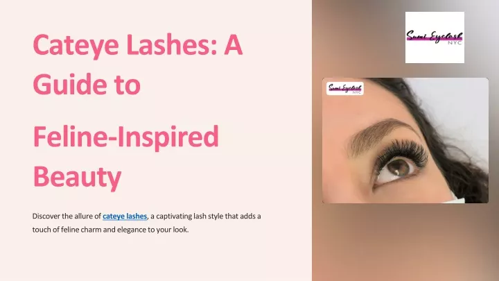 cateye lashes a guide to