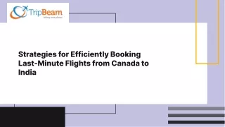 Book Last Minute Flights from Canada to India with Tripbeam.ca