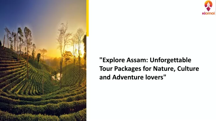 explore assam unforgettable tour packages