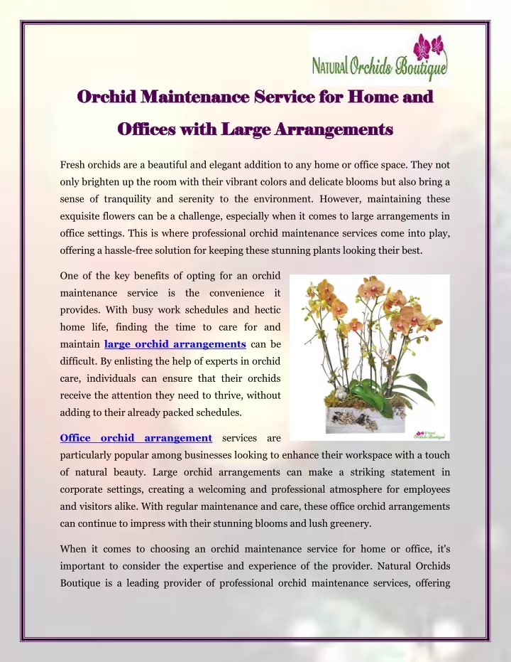 orchid maintenance orchid maintenance service