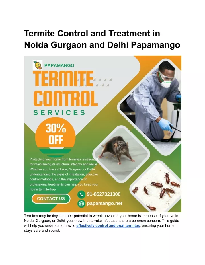 termite control and treatment in noida gurgaon