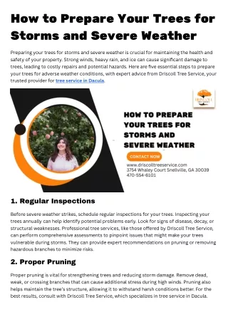 How to Prepare Your Trees for Storms and Severe Weather