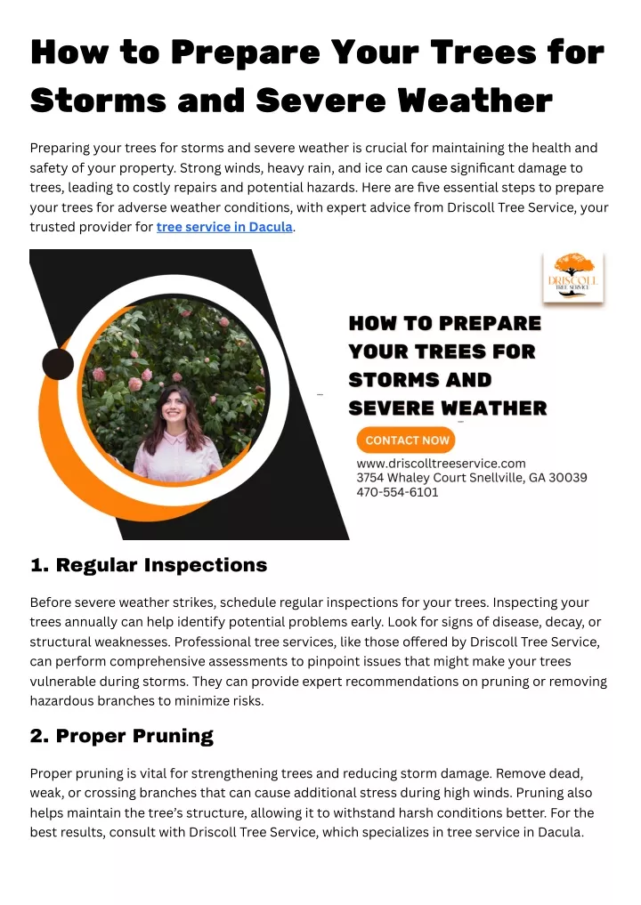 how to prepare your trees for storms and severe