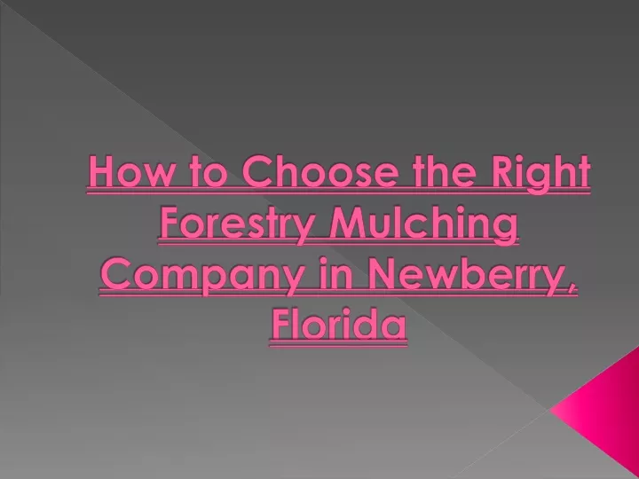 how to choose the right forestry mulching company in newberry florida