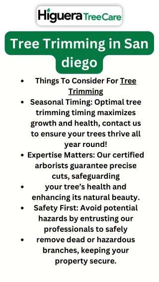 Professional Tree Trimming Services in San Diego for a Healthier Landscape