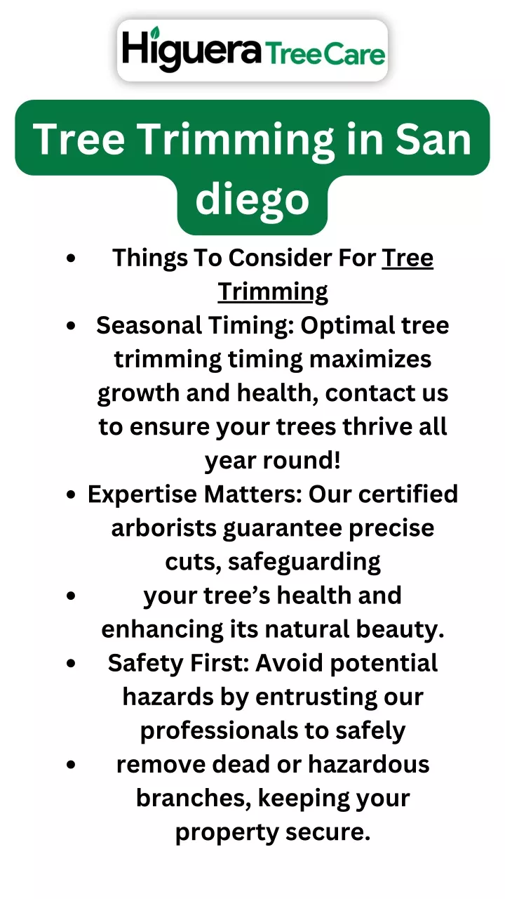 tree trimming in san diego