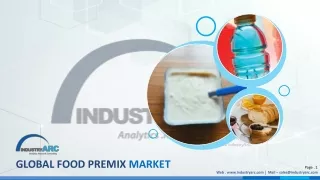 Global Food Premix Market (2022 - 2027)_Sample Extract