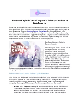 venture capital consulting and advisory services