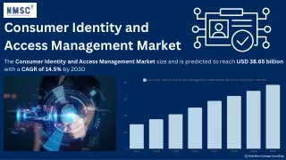 Consumer Identity and Access Management Market: Growth and Innovations